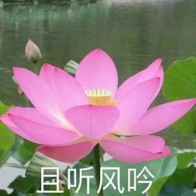 永恒徽章手游百度版下载